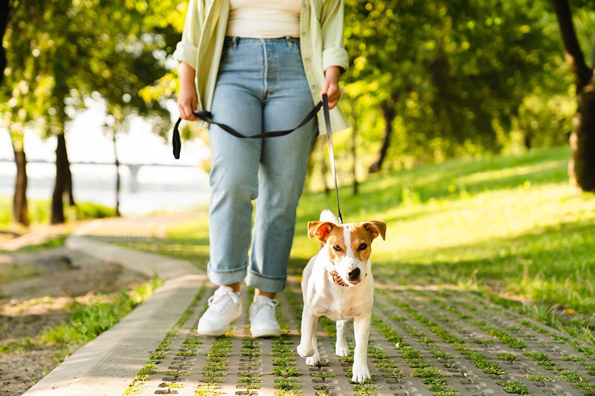Pets Benefit Our Mental Health