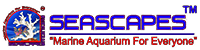 seascapes